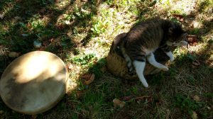 chat tambour 1 FB chat tambour 1 FB