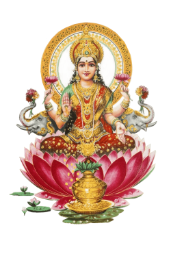 lakshmi