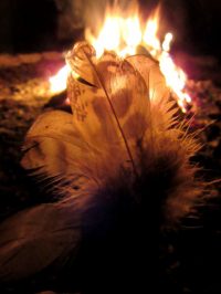plume FB plume FB